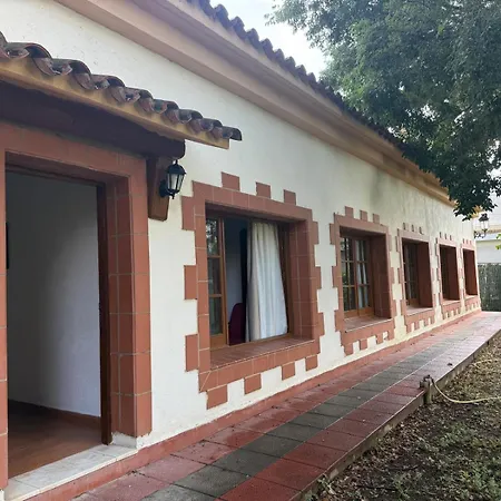 Paz Mi Refugio *