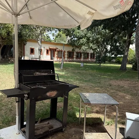 Paz Mi Refugio *