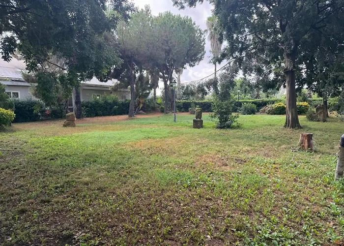 Paz Mi Refugio