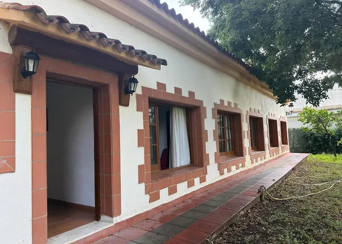 Paz Mi Refugio *