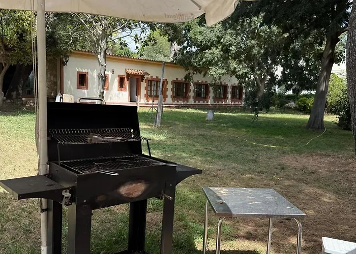 Paz Mi Refugio *